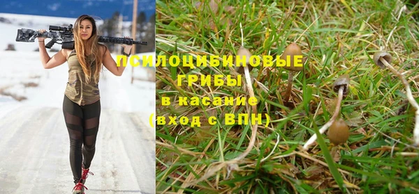 дживик Волоколамск
