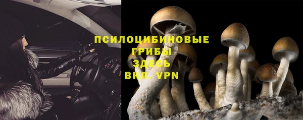 дживик Волоколамск