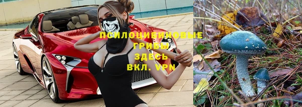 MESCALINE Волосово