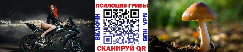 Псилоцибиновые грибы Cubensis  Энгельс 