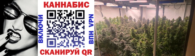 Бошки Шишки семена  продажа наркотиков  это как зайти  Энгельс 